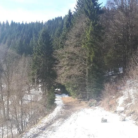 Les Tourbieres *